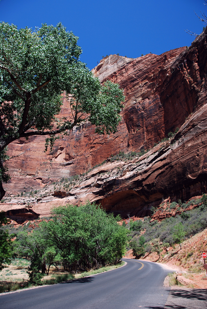 07-08-24, 170, Zion National Park, Utah