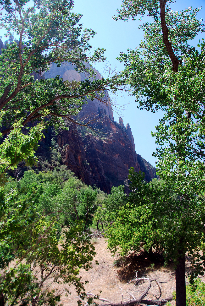 07-08-24, 172, Zion National Park, Utah