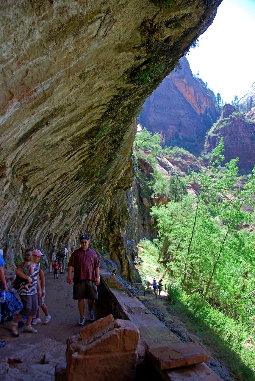 07-08-24, 183, Zion National Park, Utah