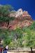 07-08-24, 125, Zion National Park, Utah