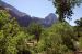 07-08-24, 131, Zion National Park, Utah