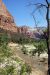 07-08-24, 138, Zion National Park, Utah