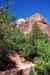 07-08-24, 142, Zion National Park, Utah