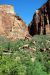 07-08-24, 143, Zion National Park, Utah