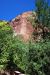 07-08-24, 144, Zion National Park, Utah