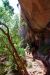 07-08-24, 149, Zion National Park, Utah