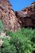 07-08-24, 177, Zion National Park, Utah