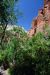 07-08-24, 178, Zion National Park, Utah