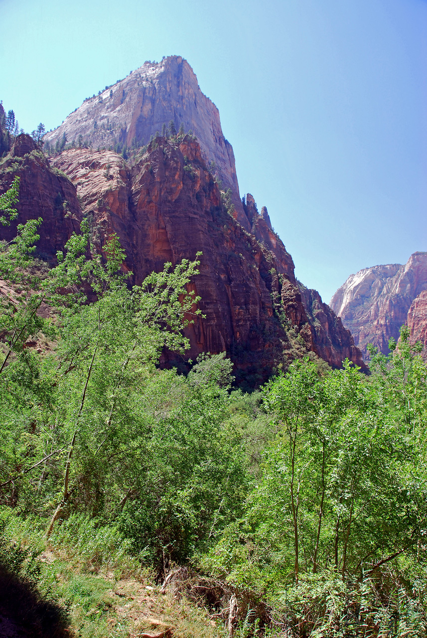 07-08-24, 184, Zion National Park, Utah