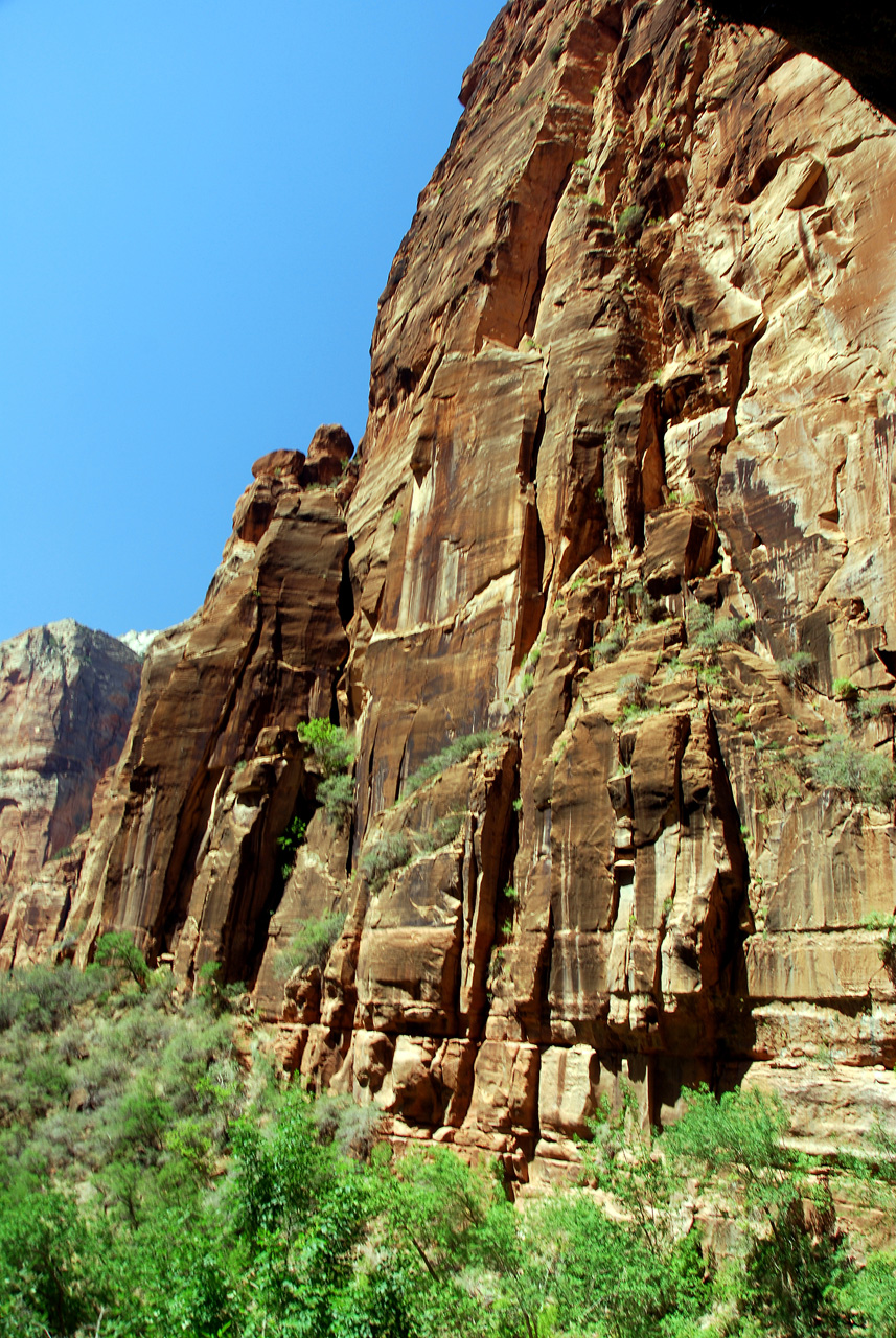 07-08-24, 185, Zion National Park, Utah