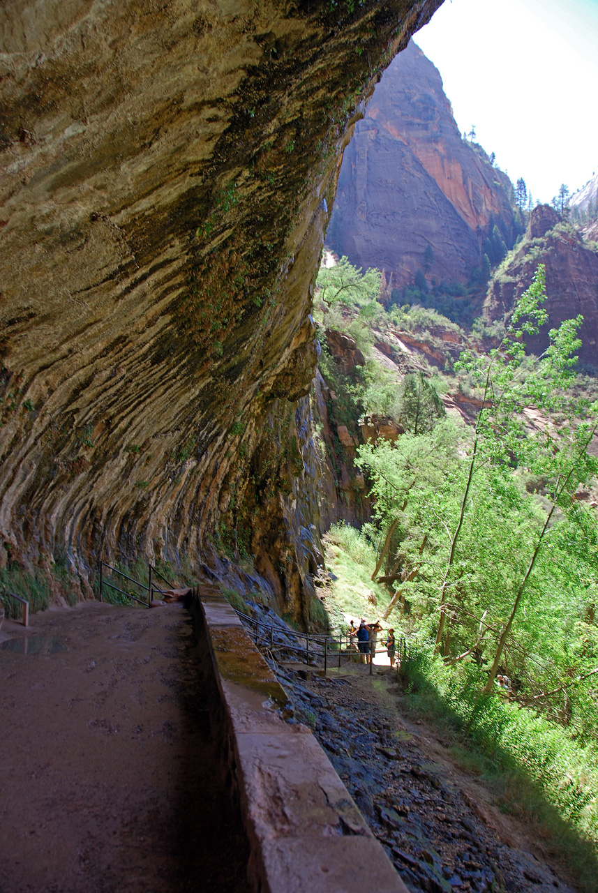 07-08-24, 186, Zion National Park, Utah