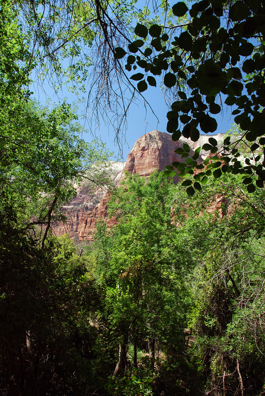 07-08-24, 188, Zion National Park, Utah