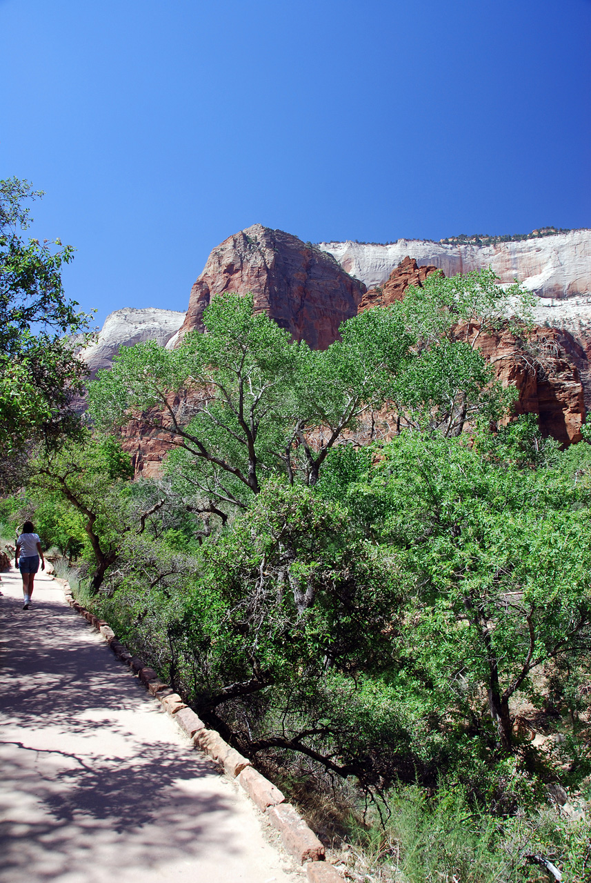 07-08-24, 189, Zion National Park, Utah