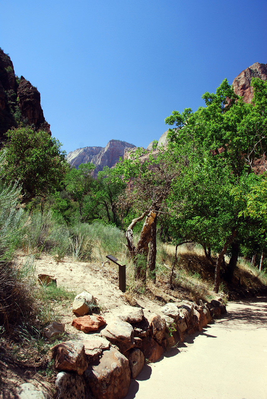 07-08-24, 190, Zion National Park, Utah