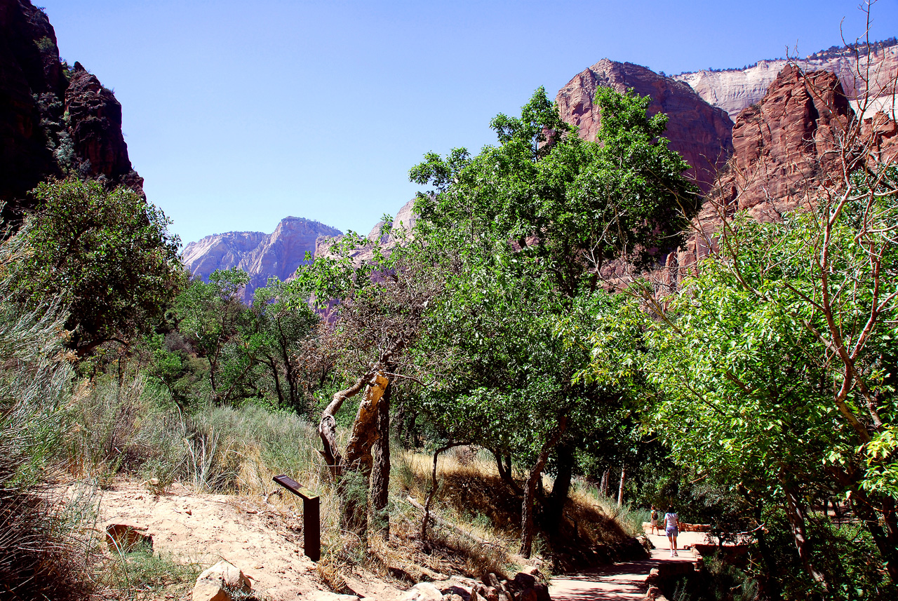 07-08-24, 191, Zion National Park, Utah