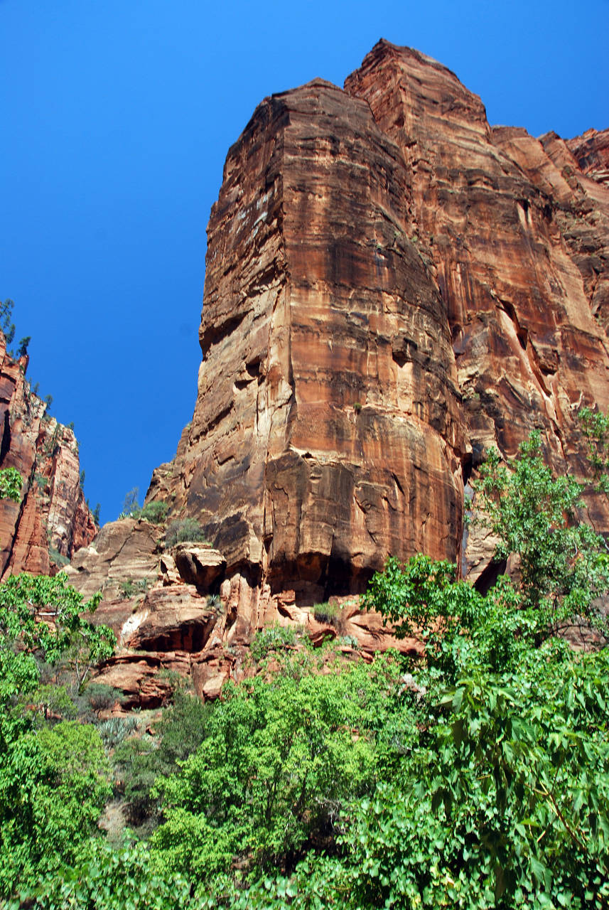 07-08-24, 205, Zion National Park, Utah