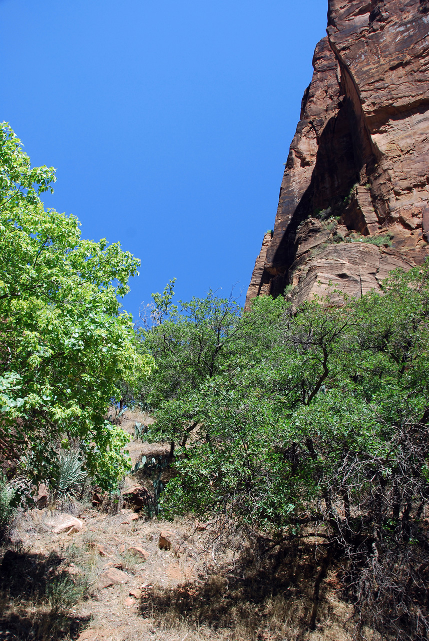 07-08-24, 207, Zion National Park, Utah