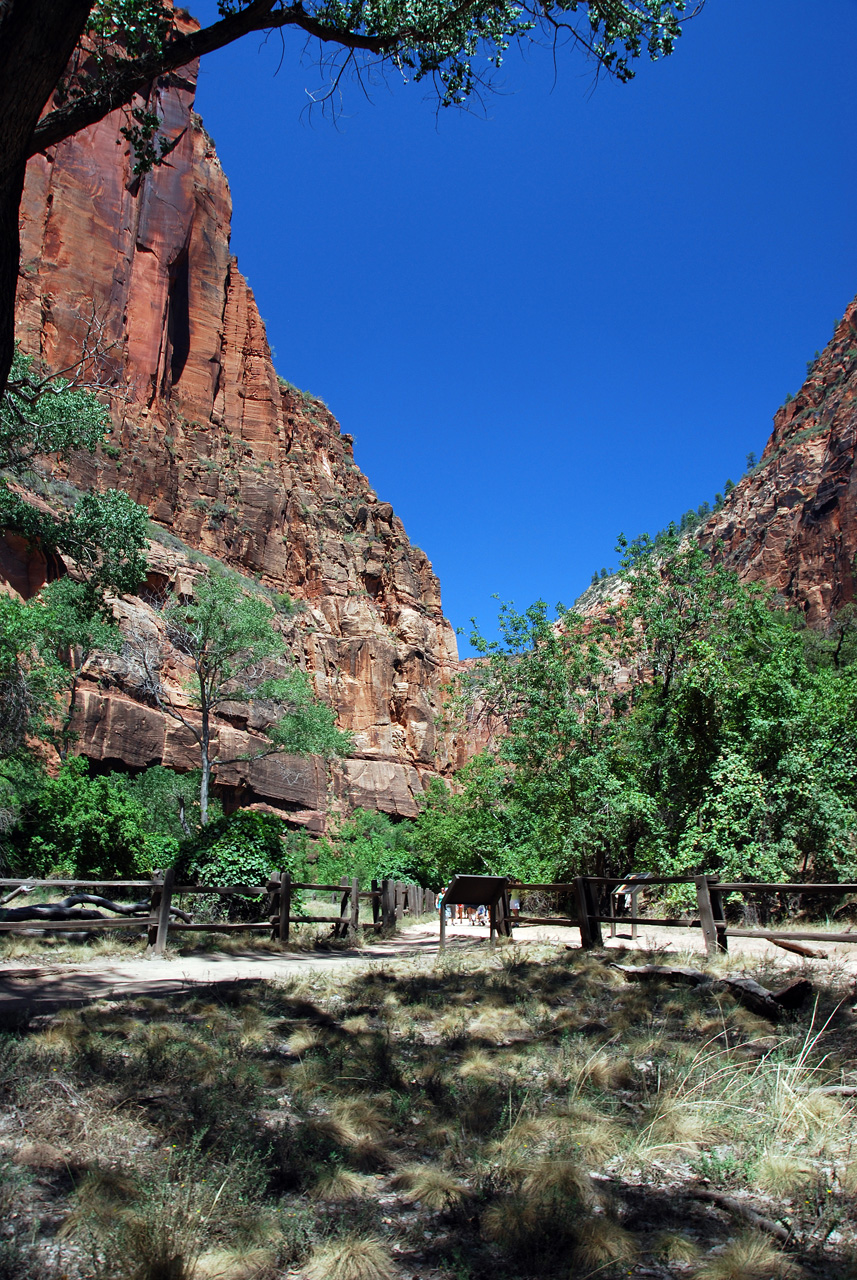 07-08-24, 208, Zion National Park, Utah