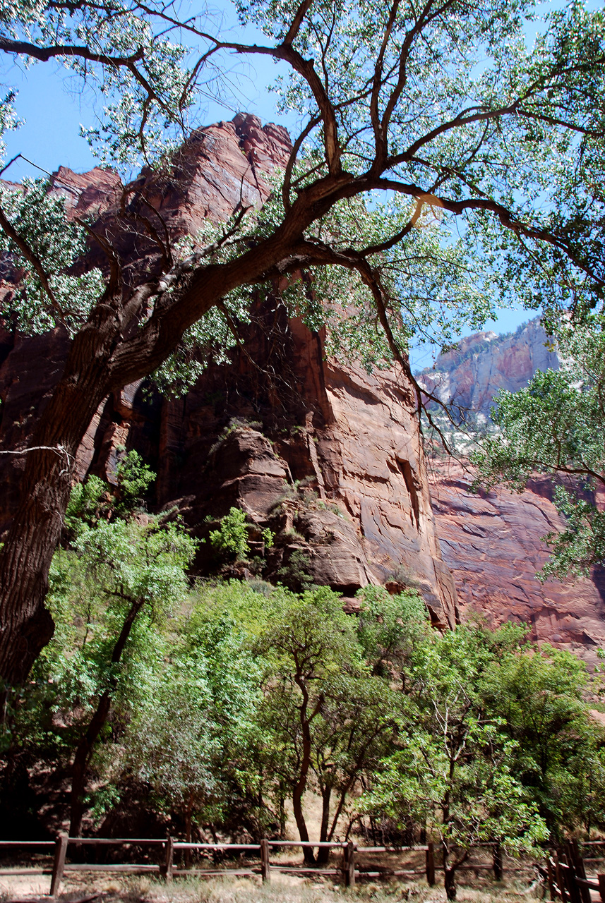 07-08-24, 209, Zion National Park, Utah