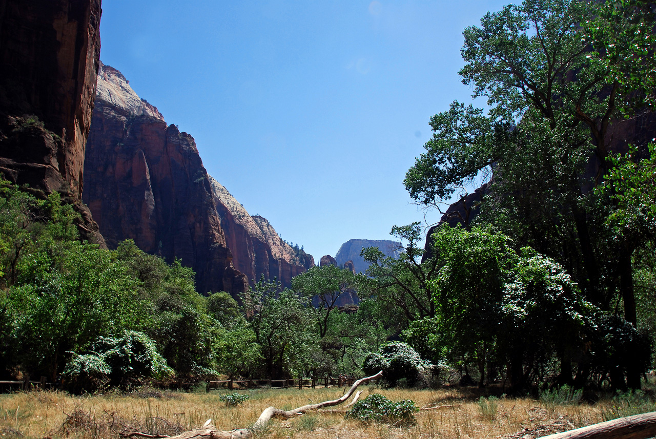 07-08-24, 213, Zion National Park, Utah