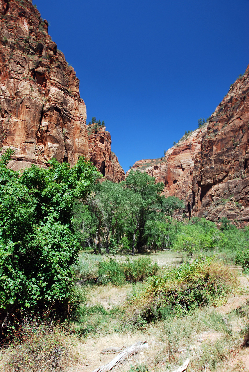 07-08-24, 214, Zion National Park, Utah