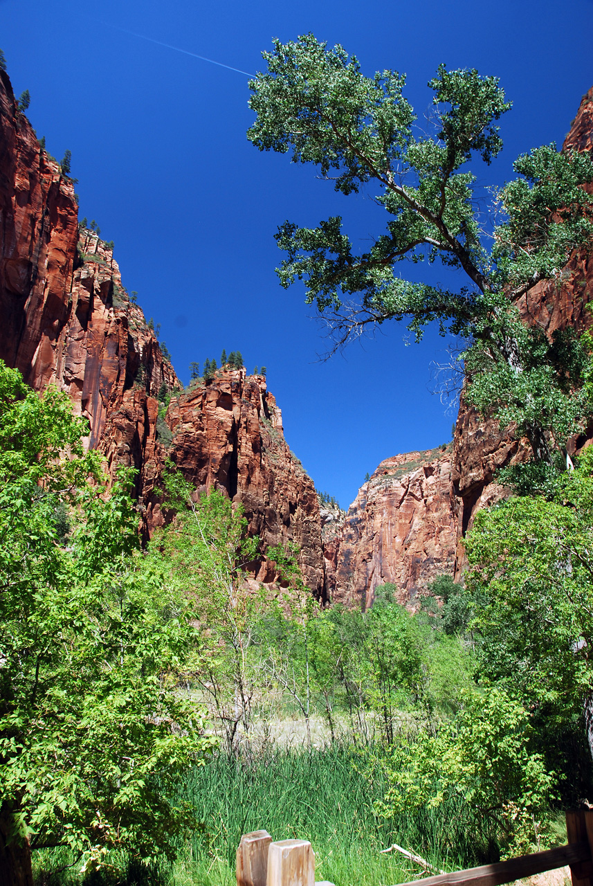 07-08-24, 215, Zion National Park, Utah