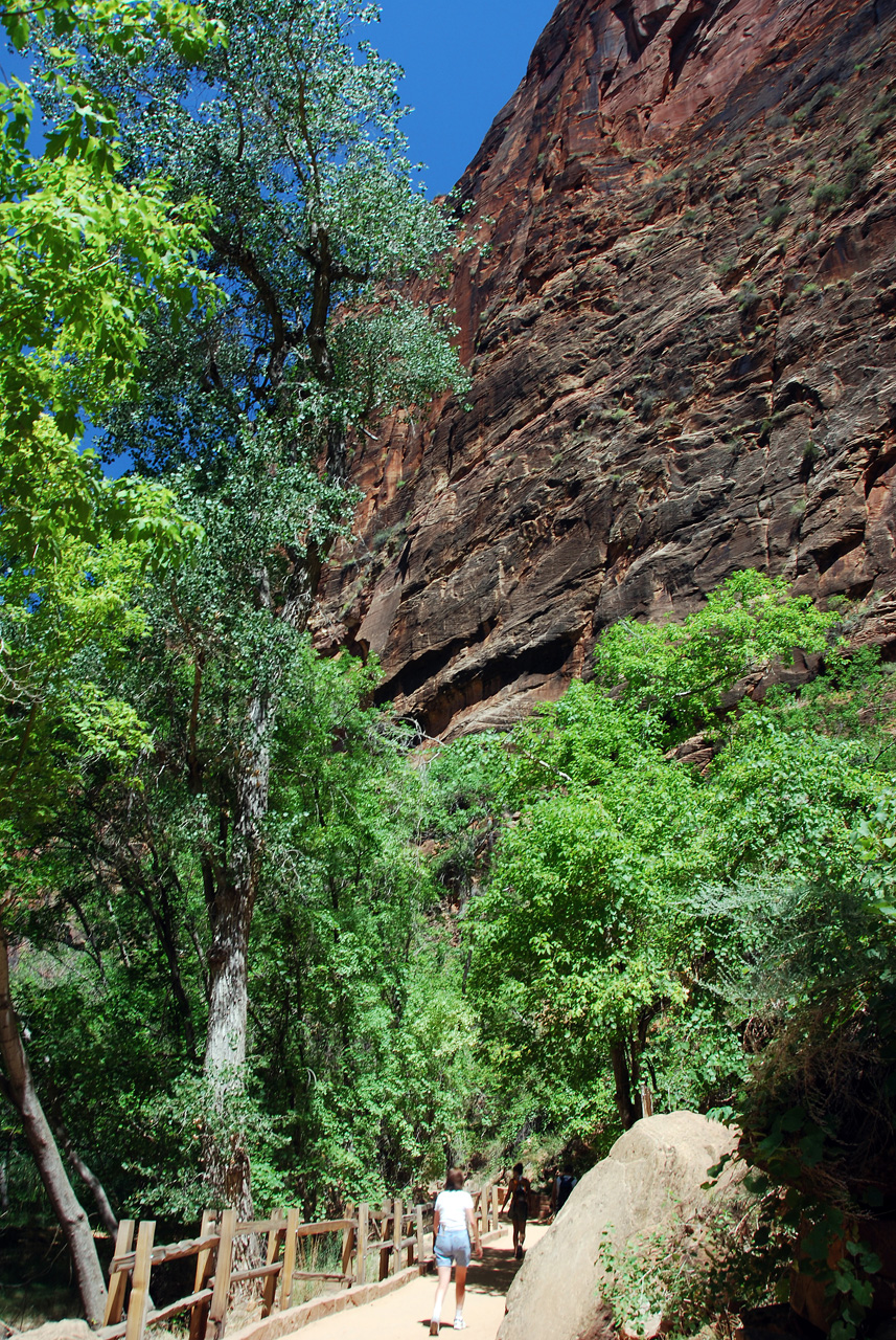 07-08-24, 216, Zion National Park, Utah