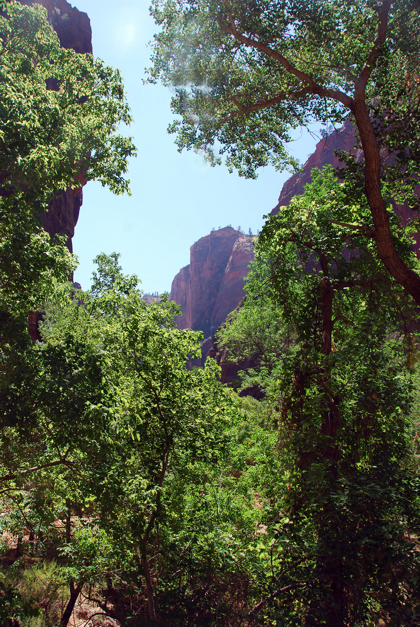 07-08-24, 220, Zion National Park, Utah