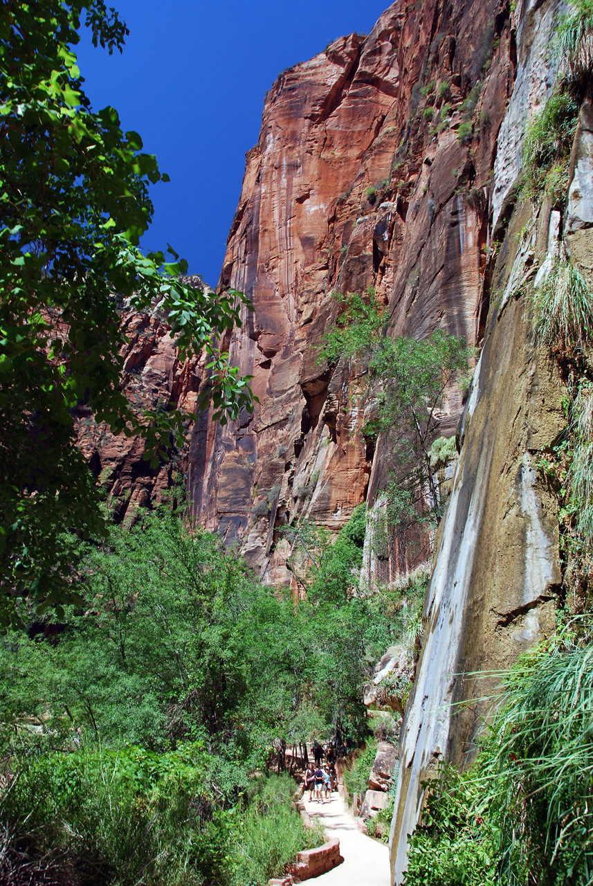 07-08-24, 221, Zion National Park, Utah