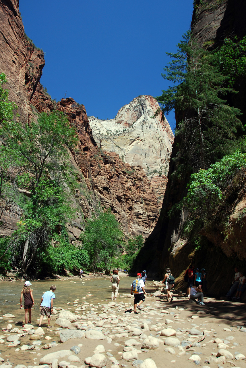 07-08-24, 223, Zion National Park, Utah