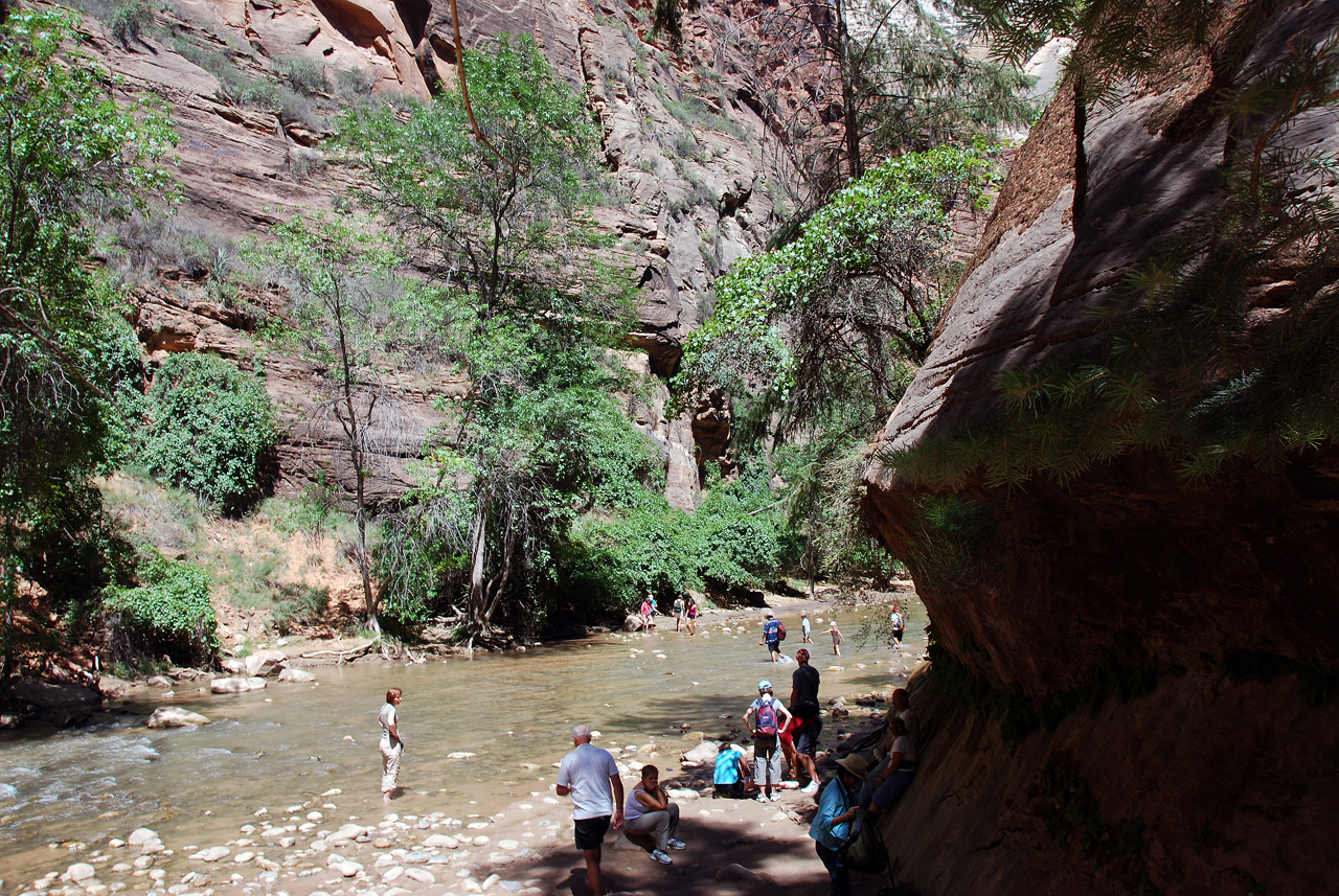 07-08-24, 226, Zion National Park, Utah