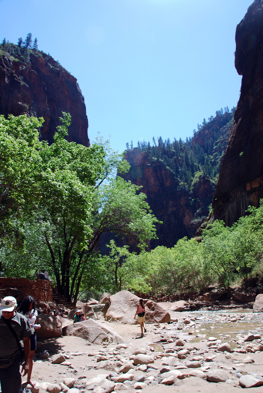 07-08-24, 233, Zion National Park, Utah