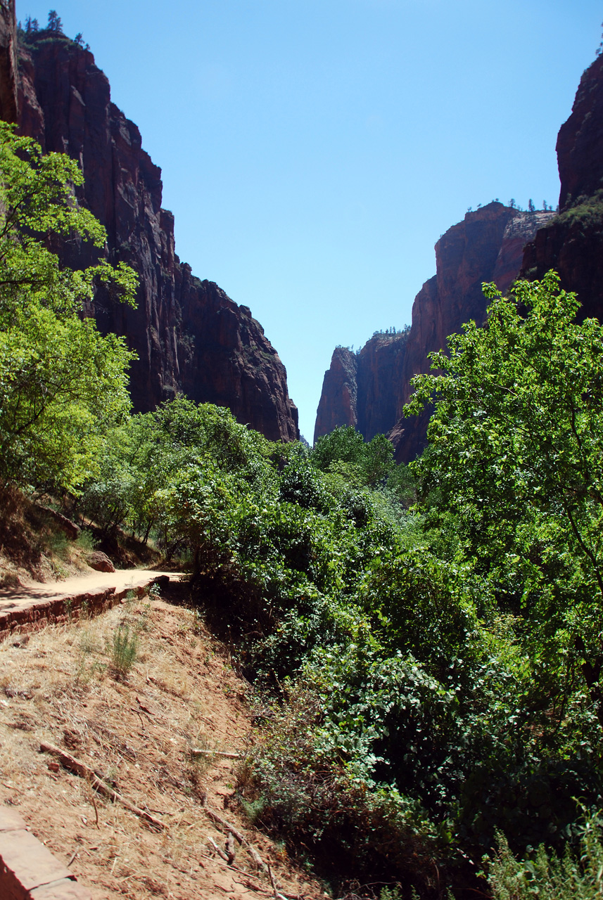 07-08-24, 236, Zion National Park, Utah