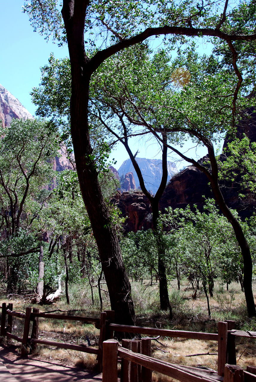 07-08-24, 238, Zion National Park, Utah