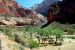 07-08-24, 196, Zion National Park, Utah