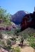 07-08-24, 197, Zion National Park, Utah