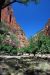 07-08-24, 208, Zion National Park, Utah