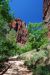 07-08-24, 217, Zion National Park, Utah