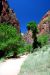 07-08-24, 218, Zion National Park, Utah