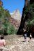 07-08-24, 231, Zion National Park, Utah