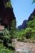 07-08-24, 235, Zion National Park, Utah