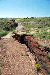 07-08-21, 079, Petrified Forest, Az