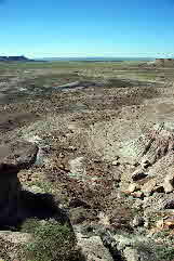 07-08-21, 127, Petrified Forest, Az