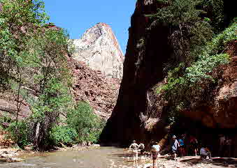 07-08-24, 224, Zion National Park, Utah